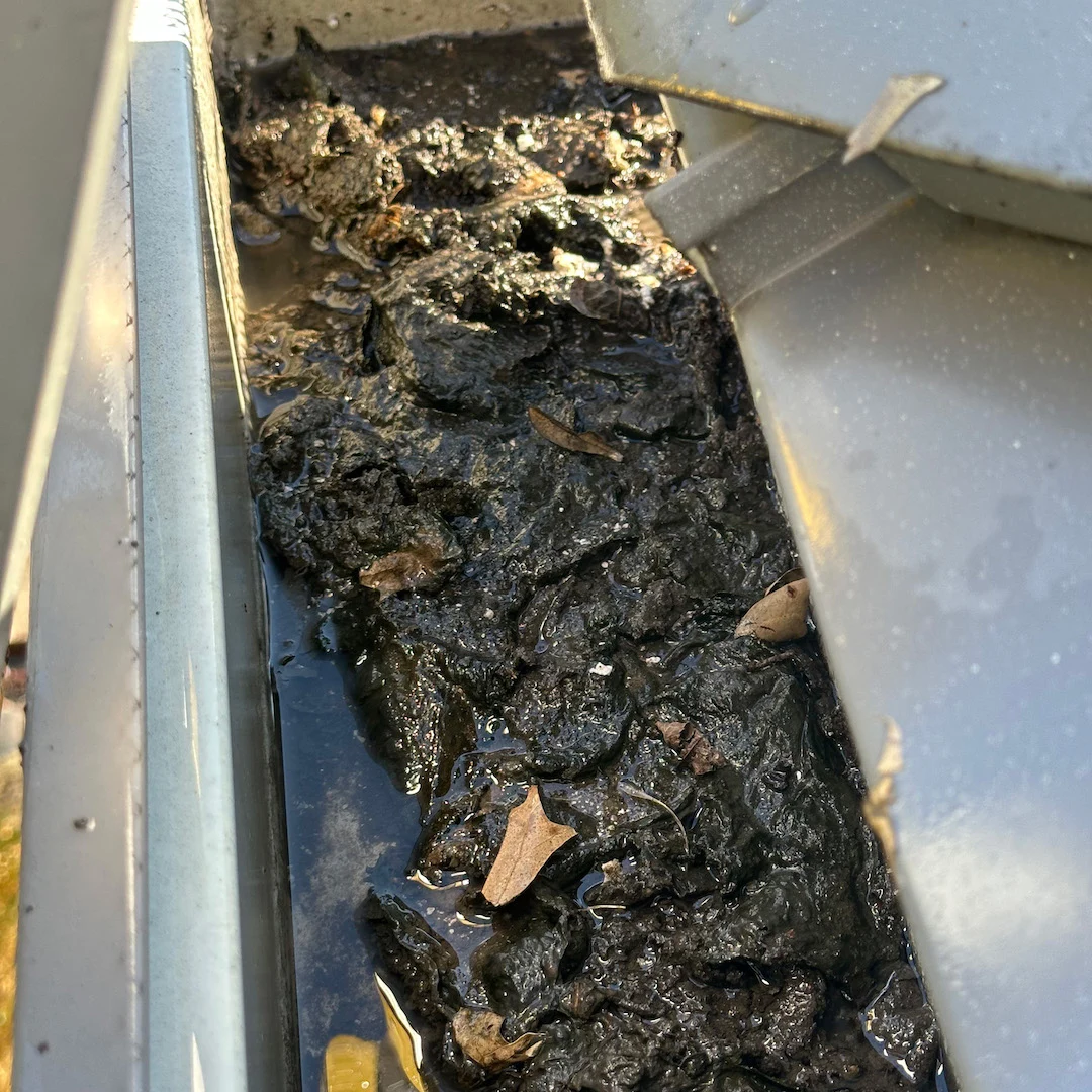 before-gutter