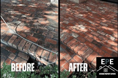 Patio Cleaning